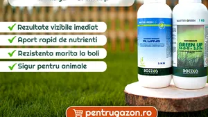 (P) Îngrăşământ de calitate pentru un gazon frumos tot timpul anului