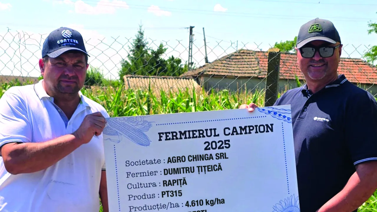 Fermieri campioni la rapiță în județele Brăila, Constanța și Caraș-Severin cu hibrizii Pioneer