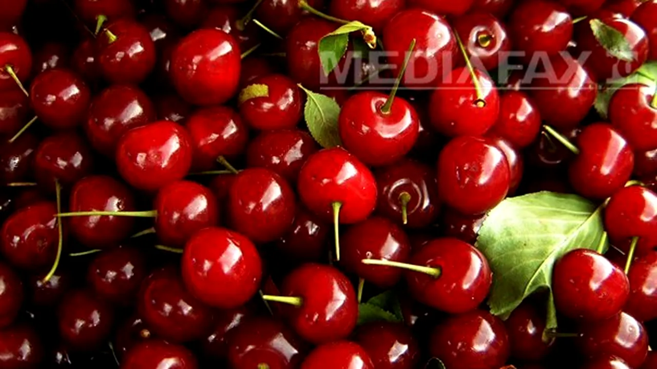 Cireşele din Turcia a căror coajă n-ar fi fost 