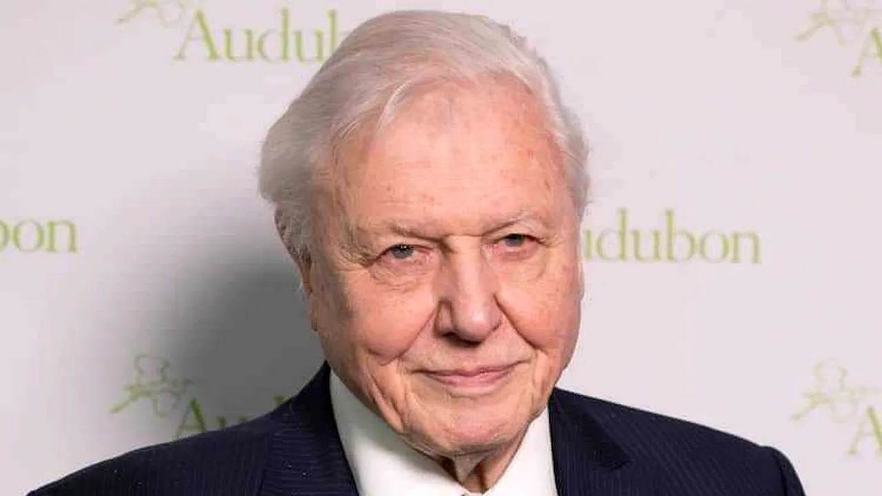 David Attenborough, „profund deranjat” de inteligenţa artificială care i-a imitat vocea