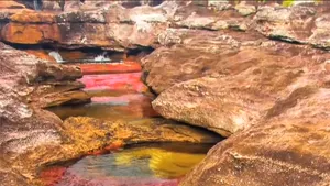 ”Cel mai frumos râu din lume?”. Cum arată ”curcubeul lichid” din Columbia - FOTO, VIDEO
