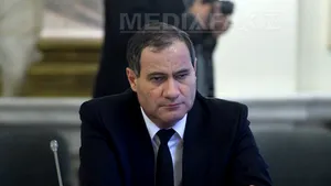 Neacşu (PSD): Şedinţă a comitetului liderilor pe tema legii amnistiei, marţi