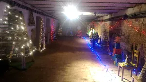 Târg de nebrazi, confecţionaţi din cofraje de ouă, dopuri de plută sau CD-uri, la Cluj-Napoca | GALERIE FOTO