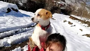 O fetiţă de 9 ani şi-a cărat câinele pe spate doi kilometri, în zăpadă, pentru a ajunge la veterinar