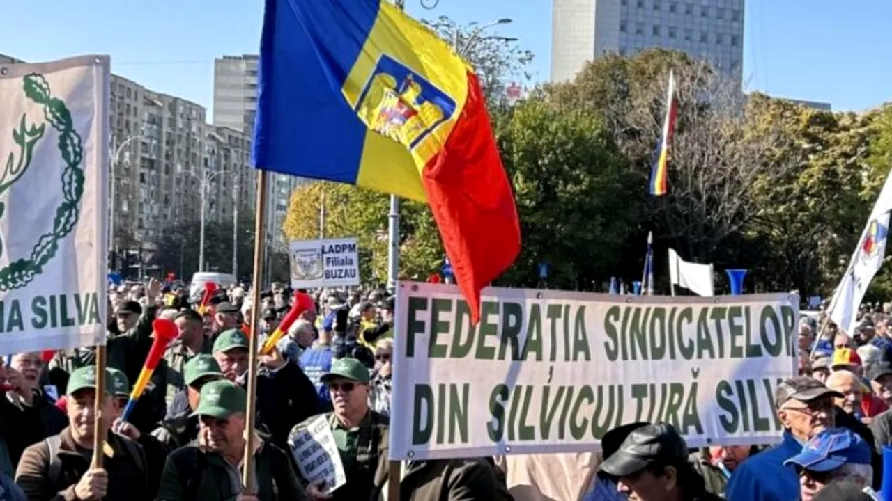 Silvicultorii acuză guvernul că le taie veniturile. Anunță protest în Capitală
