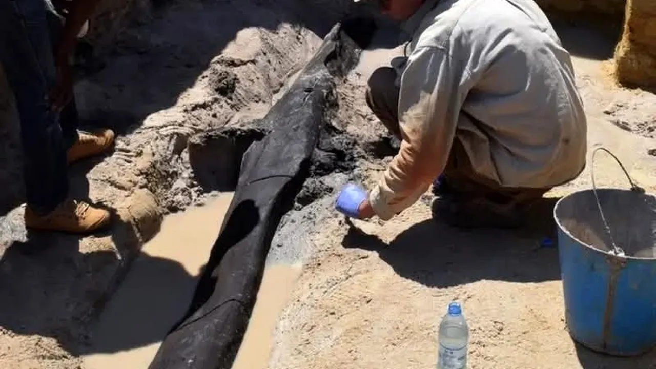 Descoperire arheologică majoră la Kalambo Falls: cea mai veche structură din lemn cunoscută