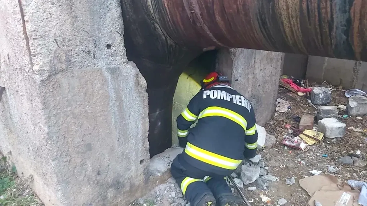 Angajaţii de la Infrastructură 5 au salvat un cetăţean căzut într-un canivou (P)