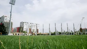 Arădenii vor putea primi bucăţi din gazonul 
