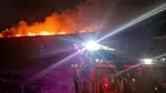 Incendiu de proporții în Delta Dunării. Flăcările s-au extins pe o suprafaţă de 50 de hectare
