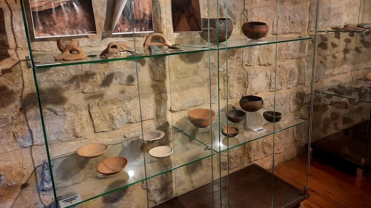 Oamenii de știință spanioli au descoperit primele dovezi ale unui dinozaur Diplodocus în Europa 