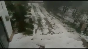 Vreme rea. Grindina a făcut prăpăd în Argeş | VIDEO