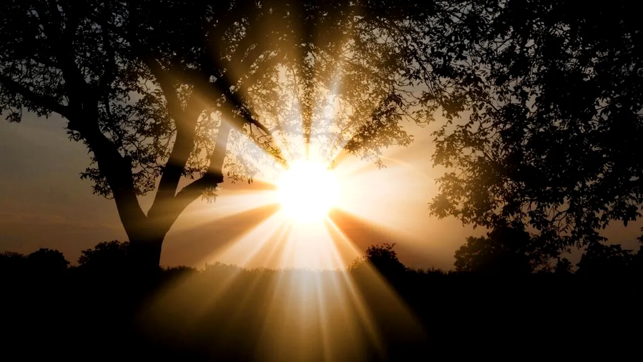 Oamenii de știință au descoperit o nouă metodă eficientă de a transforma lumina solară în combustibil