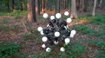 Americanii au construit un robot cu 20 de picioare și ochi care se mișcă și vede instantaneu în orice direcție