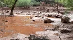 Viitură devastatoare în Grand Canyon: peste 60 de oameni evacuați | Mai mult de 20 de persoane sunt date dispărute