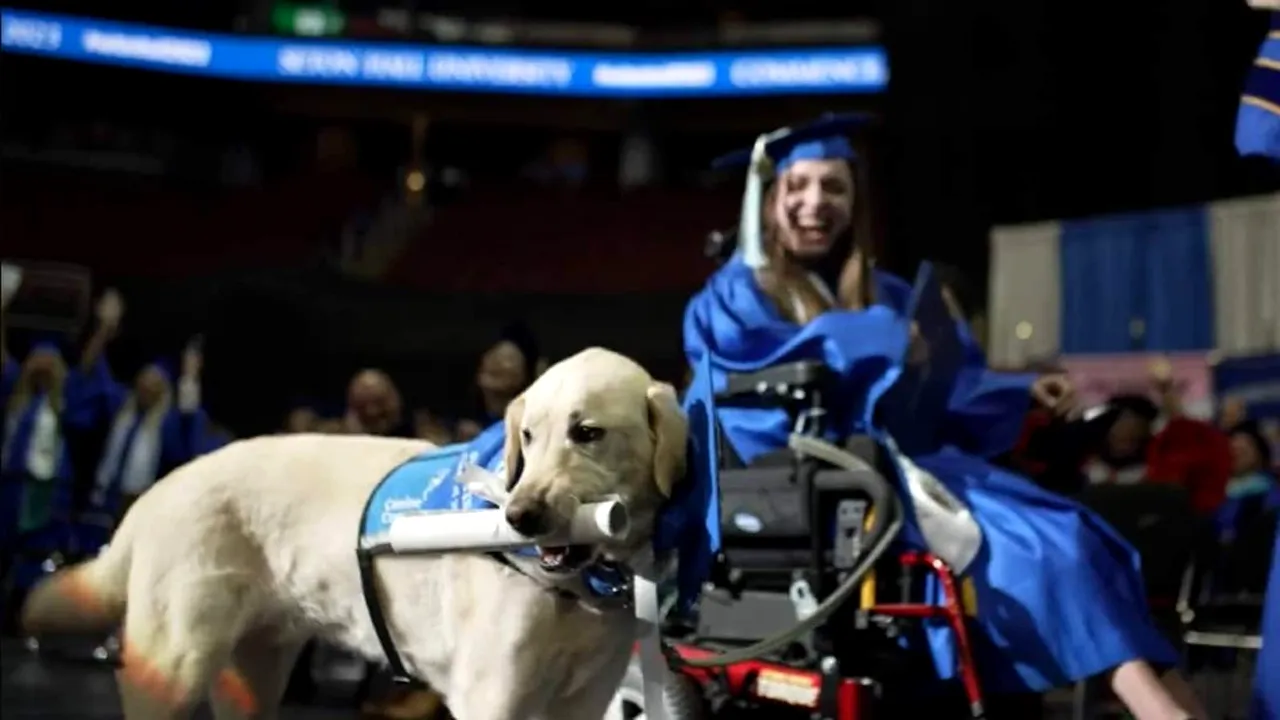 Un câine a primit o diplomă de absolvire a facultăţii din New Jersey