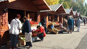 RECOMANDĂRI de weekend: Muzică, arte şi târg de produse tradiţionale, la jumătatea lunii iulie
