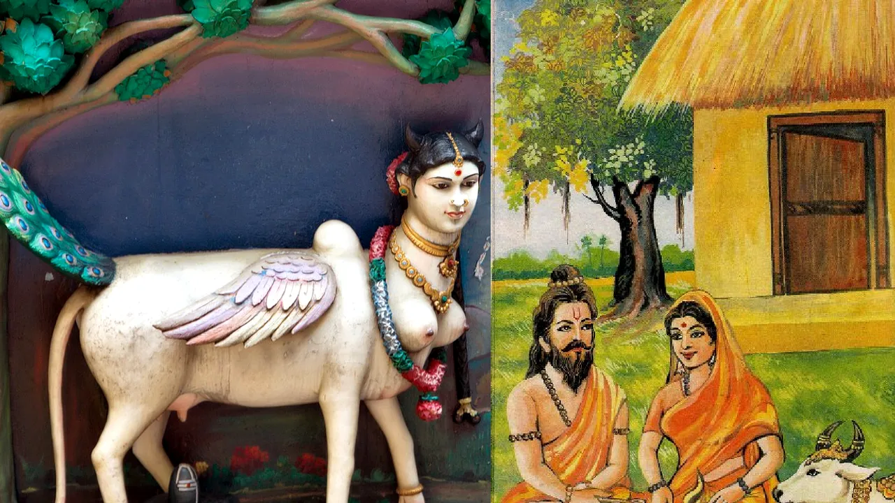 India îi îndeamnă pe cetăţeni să 
