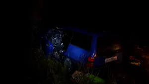 Şase răniţi, dintre care trei copii şi o femeie gravidă, după ce o maşină a intrat într-un pom, în Arad