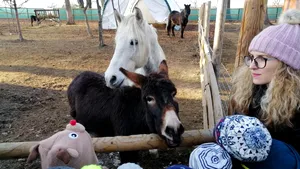 O nouă şansă pentru necuvântătoare. O fermă cu animale salvate a fost deschisă la Braşov, în cadrul Sanctuarului de Urşi Libearty