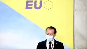 COMENTARU Marius Oprea / Ce se va alege de Partidul Naţional Liberal - Vasilică