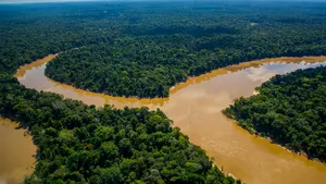 Studiu alarmant: Pădurea Amazoniană a emis mai mult CO2 decât a absorbit