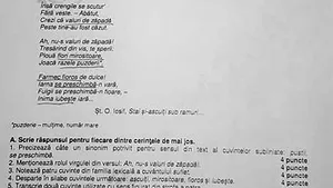 Autorii SUBIECTELOR de la simularea la limba română îşi cer scuze pentru eroarea privind autorul poeziei: Omisiunea nu afectează rezultatele