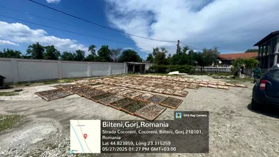 SOCIAL Afaceri de 13 milioane de lei prin exploatarea ilegală a 64 de tone de trufe