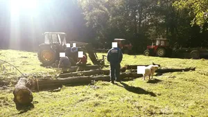 Jandarmii care au blurat faţa unui câine au „lovit” din nou. Acum au ascuns comentariile negative la un clip dedicat Centenarului