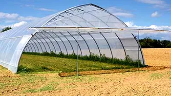 ECONOMIC Legumicultorii cer majorarea ajutoarelor pentru solarii. Costurile pot crește cu până la 70%