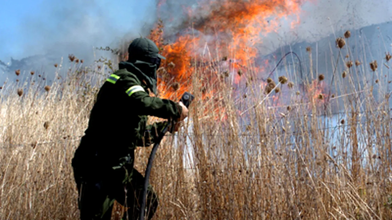 Un român, arestat în Sardinia sub acuzaţia de declanşare a unui incendiu