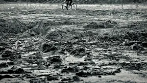 MEDIAFAX ZOOM: Delta Dunării şi Dobrogea, oameni şi urme - GALERIE FOTO
