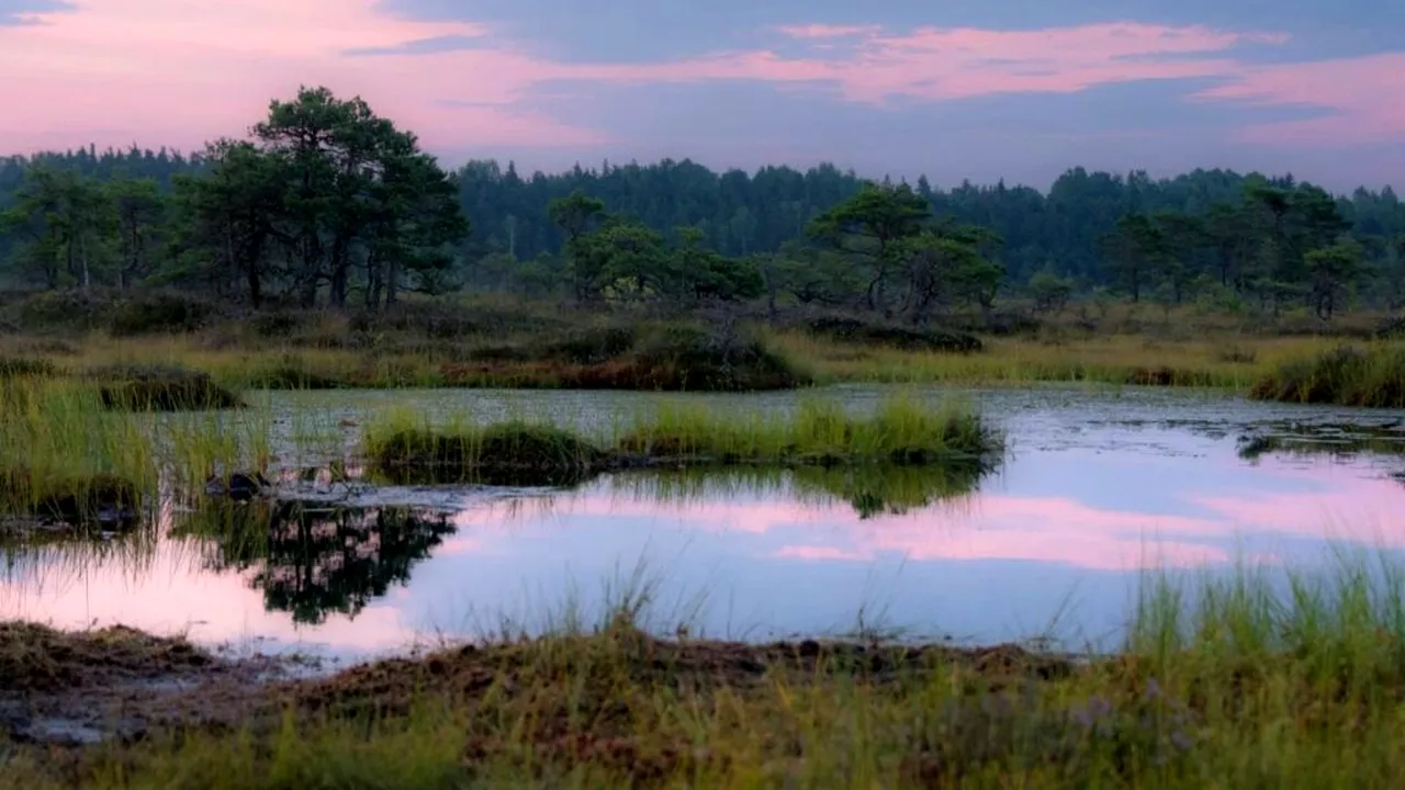 Cercetătorii trag un semnal de alarmă: vânturile sudice în schimbare pot reduce capacitatea Pământului de a stoca carbon