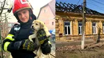 Pompierii din Timiș au salvat un cățel după ce o casă a luat foc. Incendiile la locuințe, tot mai dese