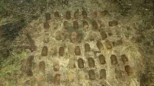 49 de grenade au fost descoperite pe malul unui râu din Harghita