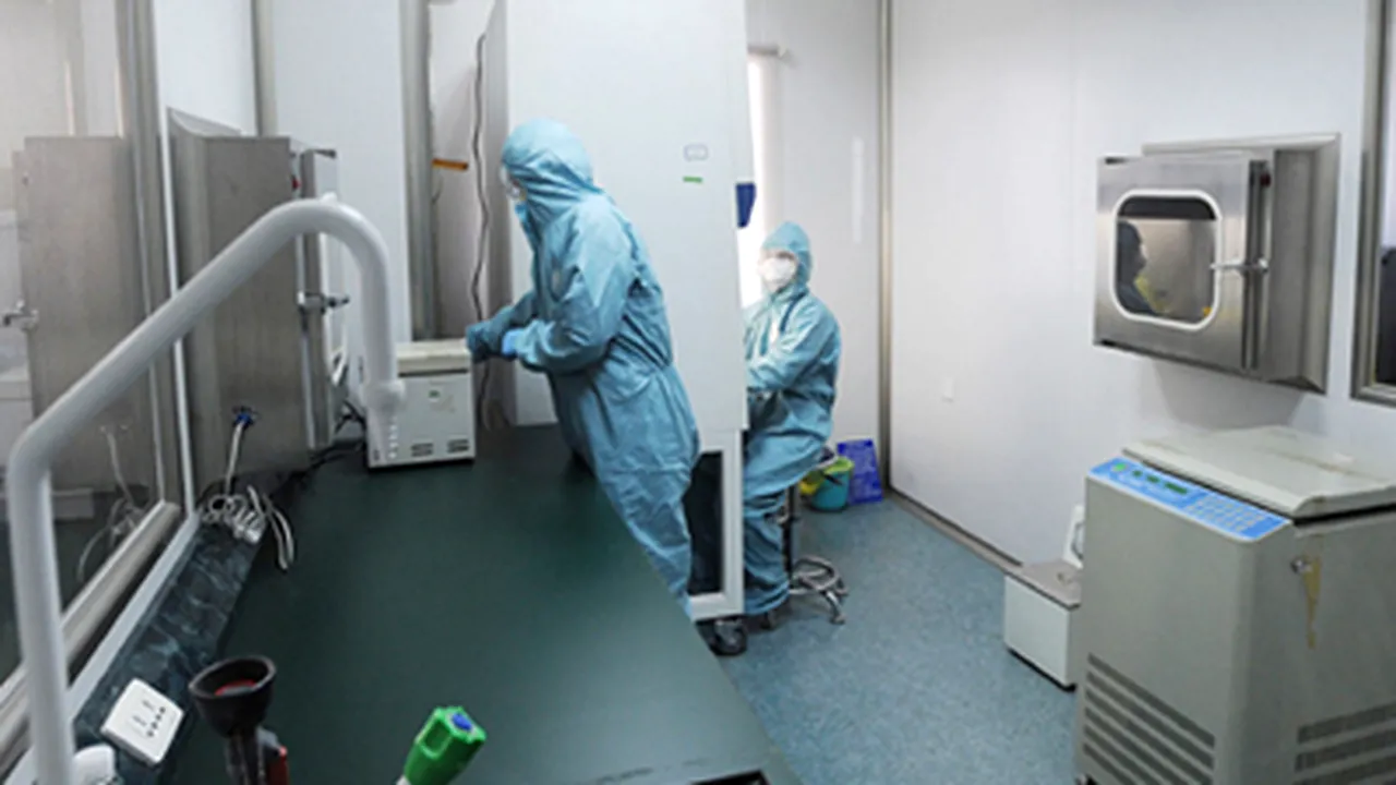 OMS: Toate ţările vor avea nevoie de vaccinul împotriva gripei A H1N1