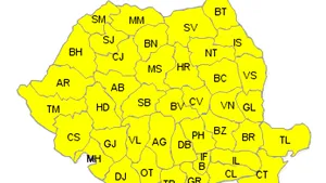 COD GALBEN DE NINSORI ŞI VISCOL în toată ţara