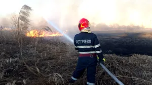 VIDEO, FOTO | Incendiu în Delta Văcăreşti: ard circa 30.000 de metri pătraţi. Numărul pompierilor care acţionează la incendiul din Delta Văcăreşti a fost suplimentat