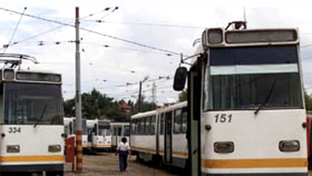 Linia tramvaiului 31 din Bucureşti, blocată de căderea unui copac