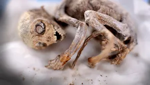 NASA: Vom descoperi viaţă extraterestră în următorii 20 de ani