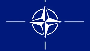 Constituţia modificată prevede şi adoptarea legii de aderare la Tratatul NATO aprobată deja din 2004