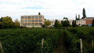 Cercetare prin igrasie şi mucegai la singurul institut de Viticultură şi Vinificaţie din ţară - GALERIE FOTO / VIDEO