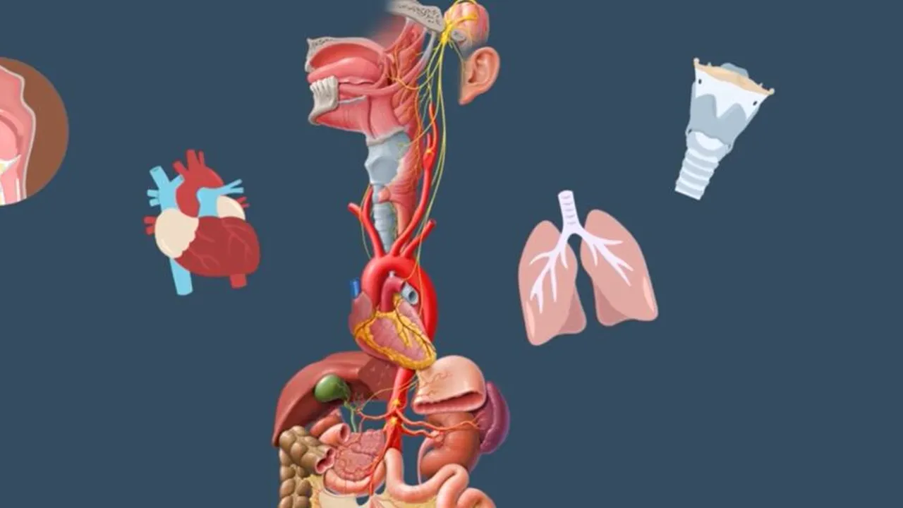 După 13 tratamente fără rezultat și ani de chin, stimularea nervului vag a schimbat evoluția depresiei