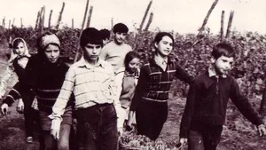 Documente CNSAS: Cum racola Securitatea informatori din rândul elevilor, cu sprijinul unor profesori, fără știrea părinților