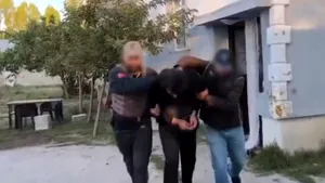 Franța și Elveția au destructurat o grupare specializată în furturi de vehicule de lux și spargeri la magazine de arme