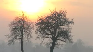VREMEA se menţine rece. PROGNOZA METEO pentru marţi şi miercuri
