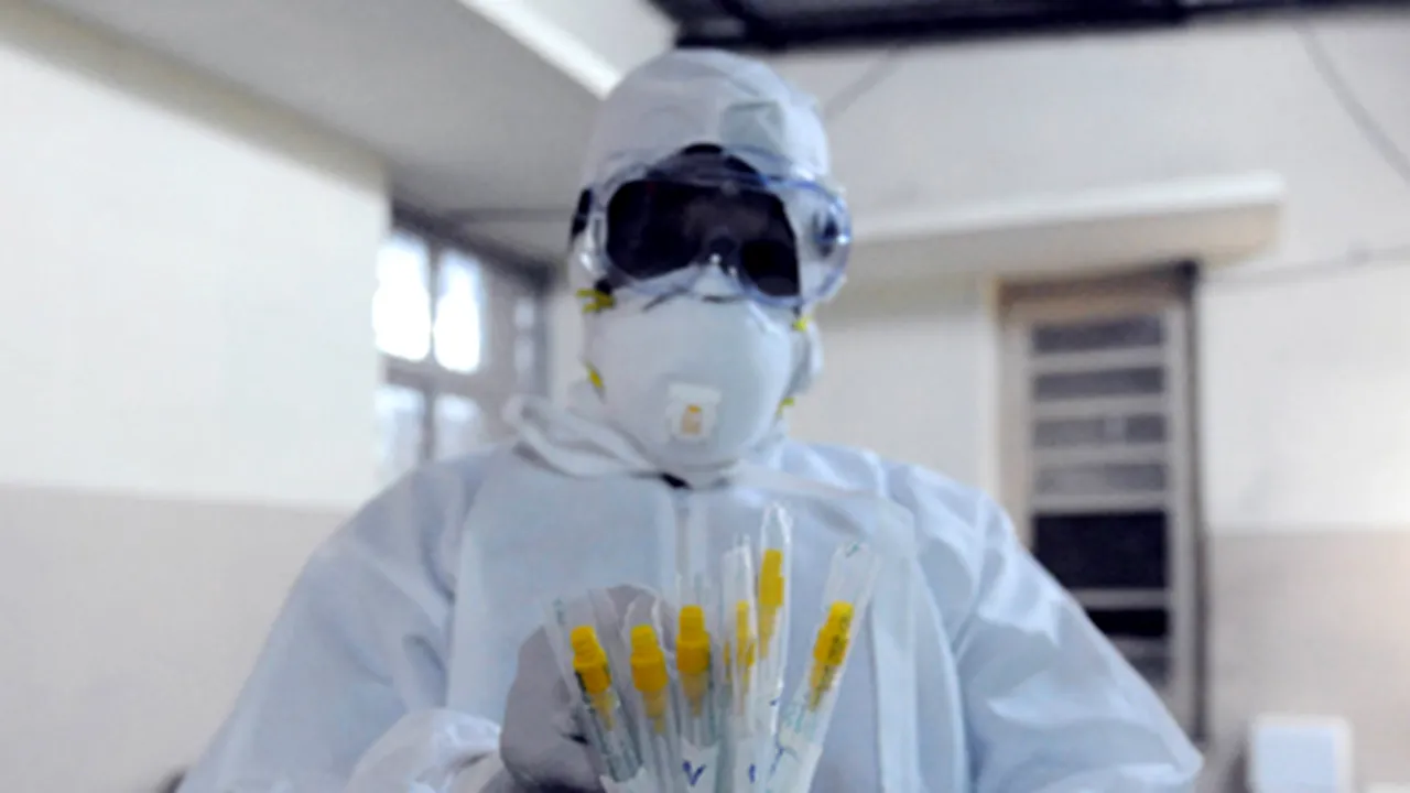 Gripa A H1N1, de la apariţie la declanşarea pandemiei