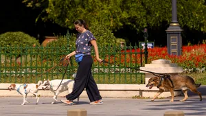 Noi politici implementate prin Codul Urbanismului. Mai multe spații verzi, condiții mai bune pentru pietoni și bicicliști