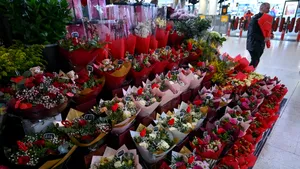 Trucul care a cucerit internetul: cum poți transforma un buchet de trandafiri cumpărat din supermarket într-o tufă de trandafiri