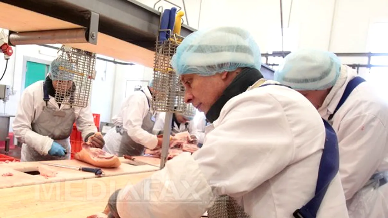 Carne de cal, depistată în două noi produse în Grecia