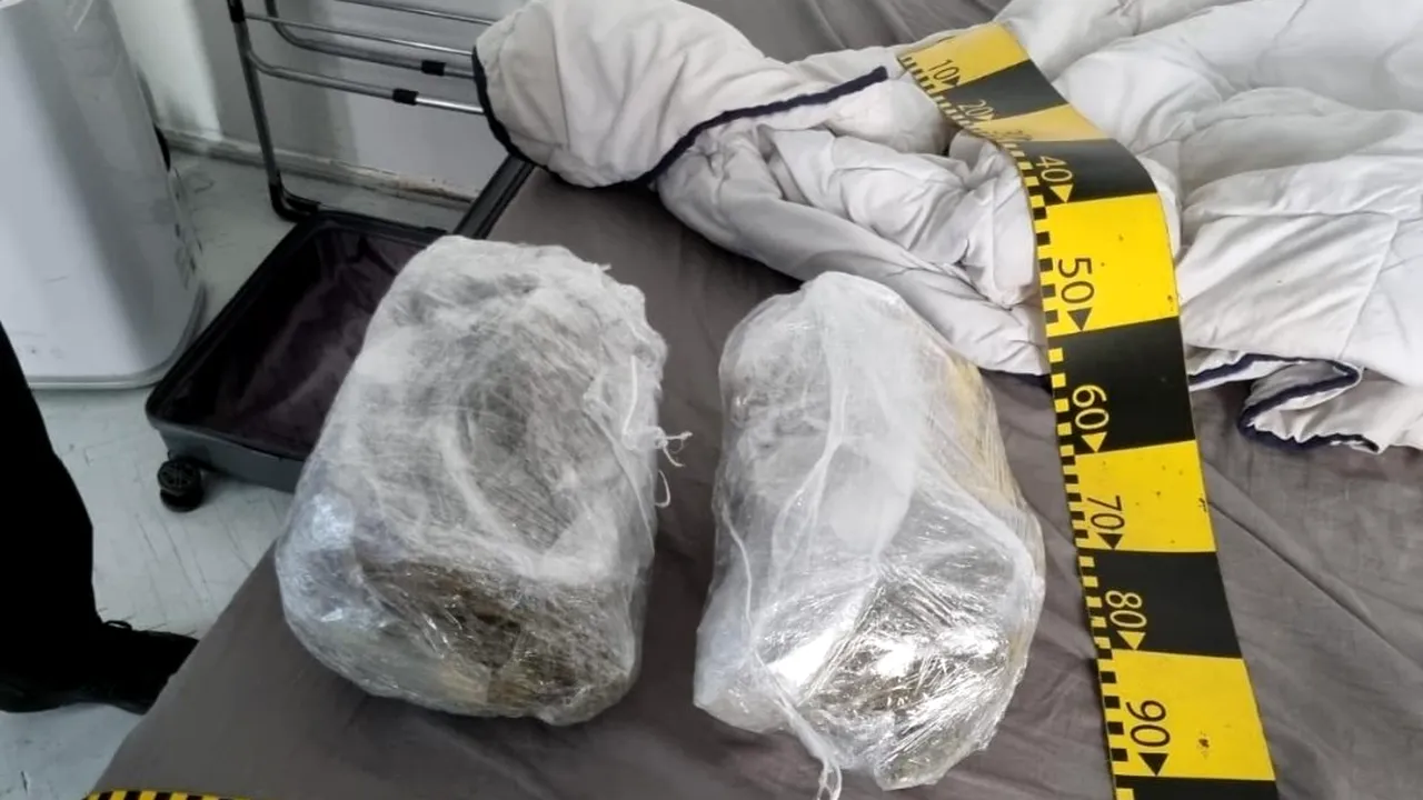 23 de kg de canabis, aduse din Spania prin firme de curierat